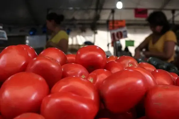 El jitomate, con una caída de 29.20 %, aportó la mayor incidencia negativa a la inflación general del mes.
